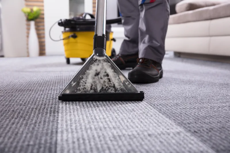 Carpet Cleaning Carpet Cleaning Services