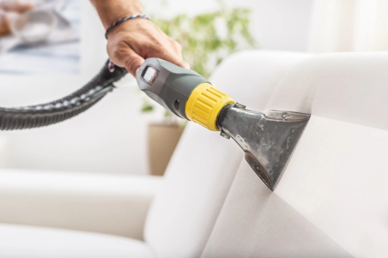 Fabric and Upholstery Fabric and Upholstery Cleaning Services